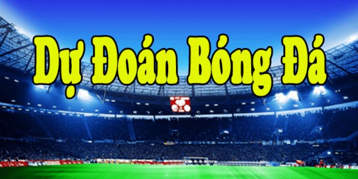 Tầm quan trọng của dự đoán kết quả bóng đá hôm nay