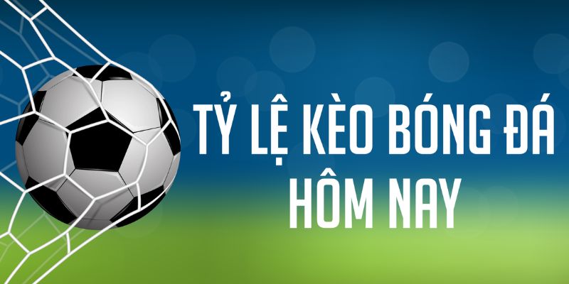Kết hợp tỷ lệ soi kèo hiệu quả